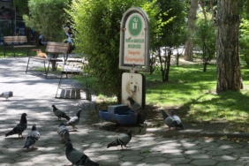 AW746194_01