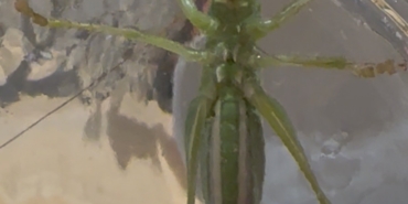 AW750883_01
