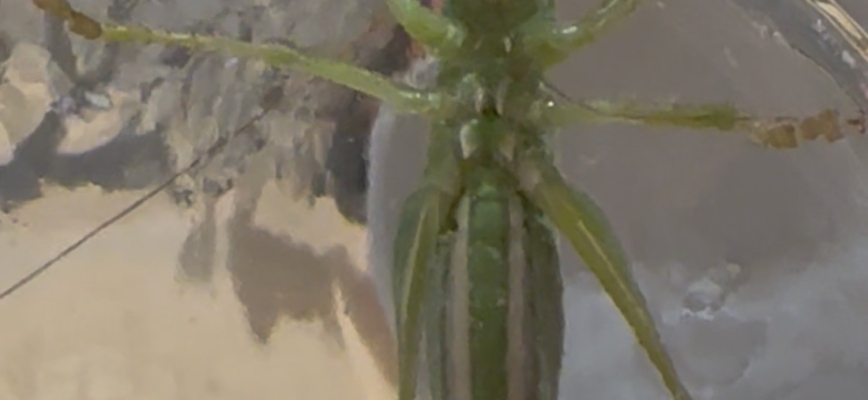 AW750883_01