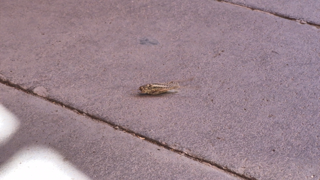AW752042_01