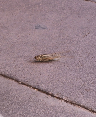 AW752042_01