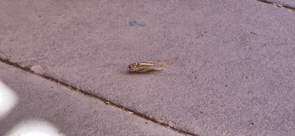 AW752042_01