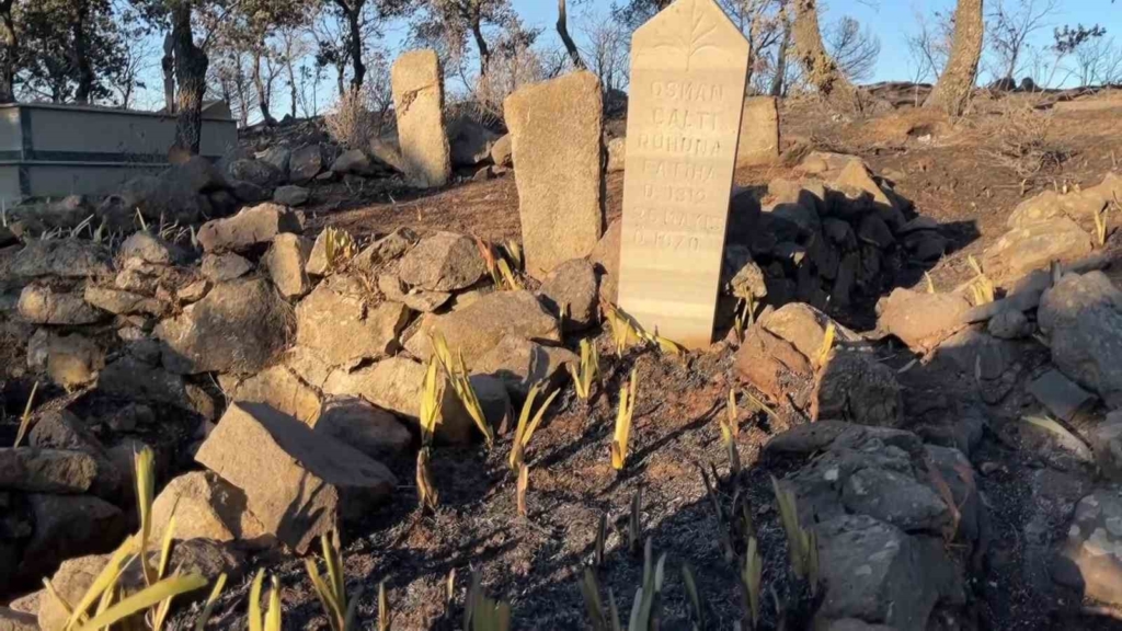 Balıkesir’de acı tablo.. Yangın mezarlığı yok etti