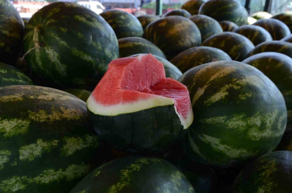 Mevsimlik işçilerin karpuz mesaisi