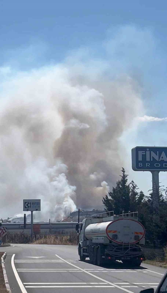 Tekirdağ’da korkutan yangın: 500 dönüm anız alev alev yandı