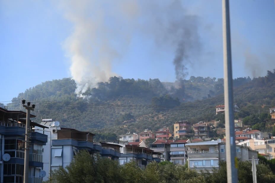 Altınoluk’taki yangın kontrol altına alındı, Gömeç yangınına müdahale sürüyor