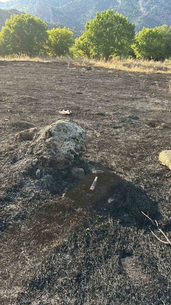 Biçme makinesinden çıkan kıvılcım ormanı yaktı, aracın operatörü gözaltına alındı