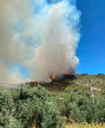 Kazdağı eteklerinde yangın