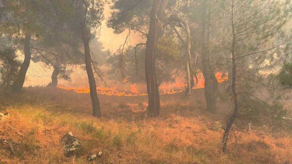 Balıkesir’de tek yangın cephesi: Gömeç