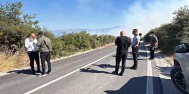 Bursa’da ormanlık alanda yangın çıktı
