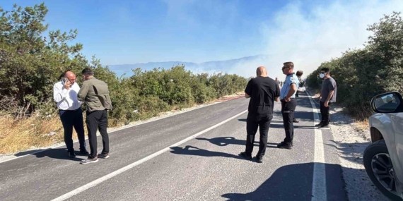 Bursa’da ormanlık alanda yangın çıktı