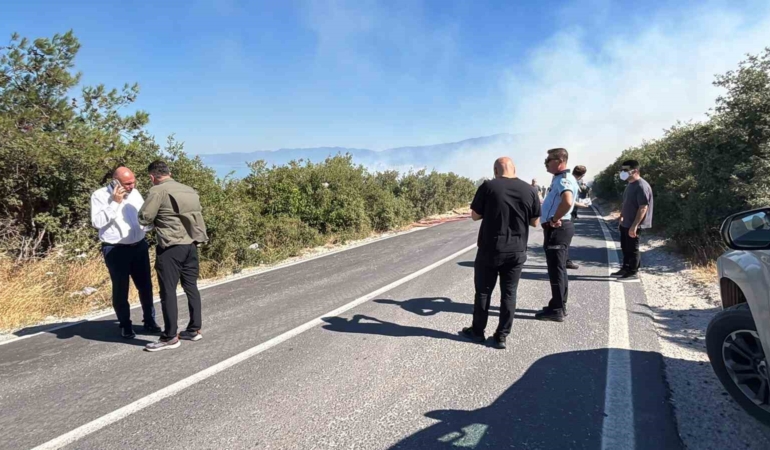 Bursa’da ormanlık alanda yangın çıktı