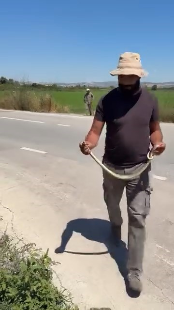 Bursa’da çiftçinin cesareti herkesi korkuttu