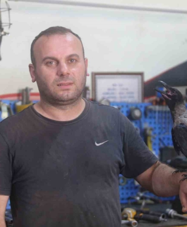 Karga ile tamircinin sıradışı dostluğu...Tamirhanede birlikte çalışıyorlar