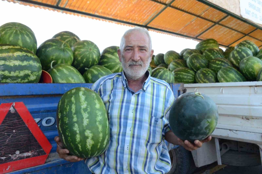 Mevsimlik işçilerin karpuz mesaisi