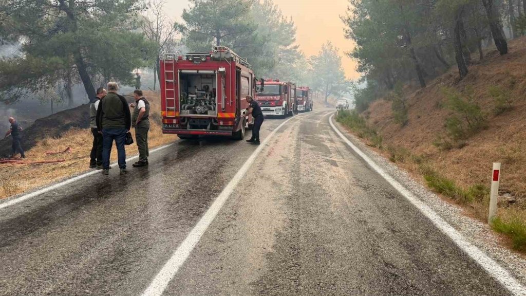 Balıkesir’deki yangın sebebiyle Ayvalık Bergama yolu trafiğe kapatıldı