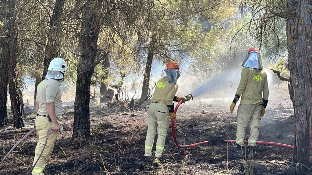 Osmaniye’de çalılık alanda başlayan yangın ormana sıçradı
