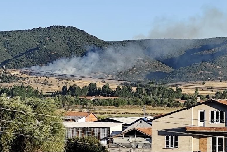 Tavşanlı’da orman yangını büyümeden söndürüldü