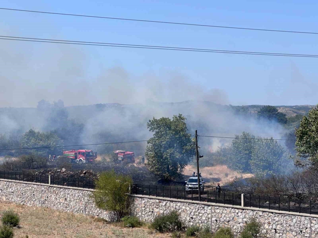 Ayvacık’ta otluk alanda çıkan yangın söndürüldü