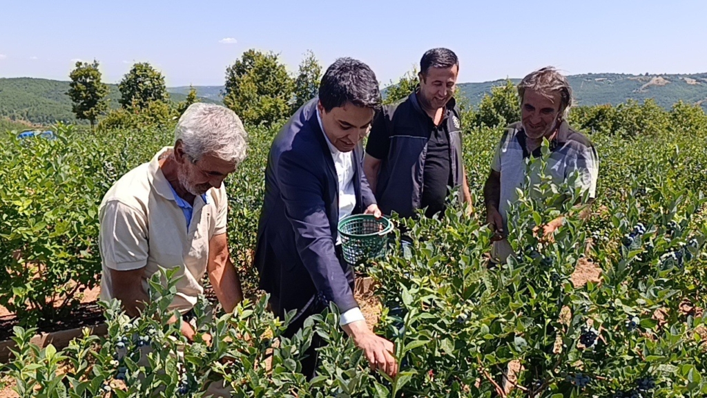 Kurak arazi devlet desteğiyle bereketli topraklara dönüştü
