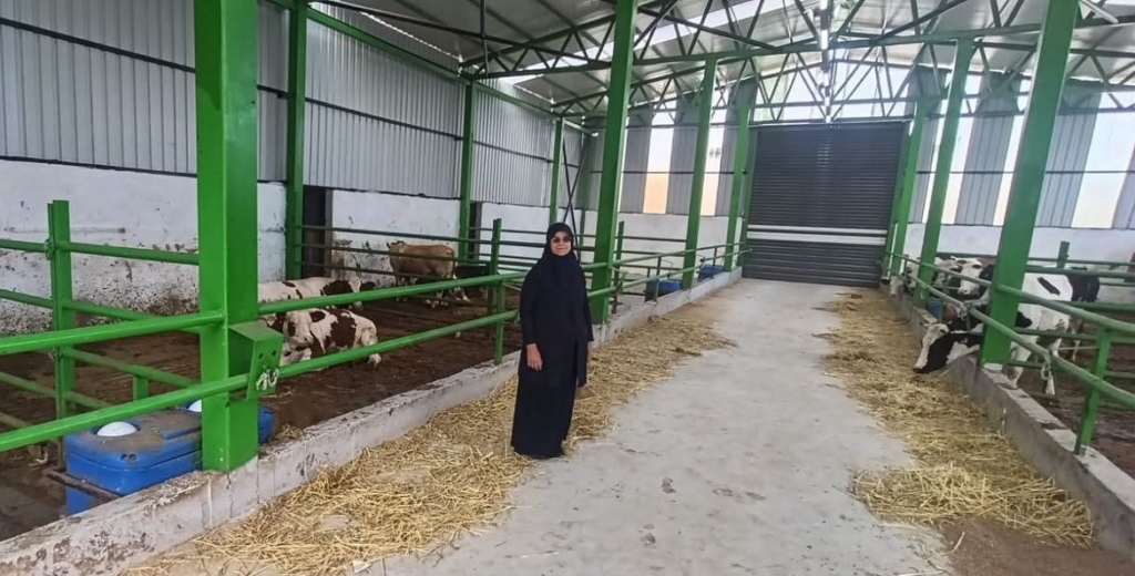 Gediz’de 12 milyon TL’lik büyükbaş besi işletmesi faaliyete geçti