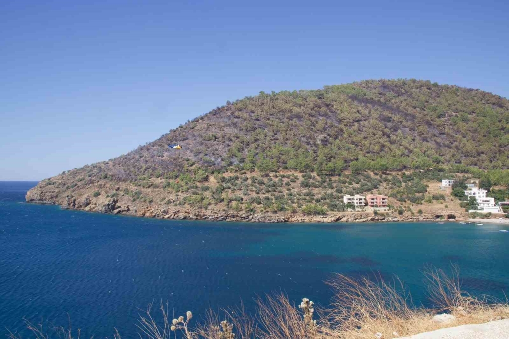 Mersin’deki orman yangını: Yangın söndürüldü, soğutma çalışması sürüyor