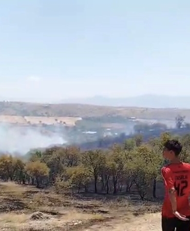 Elazığ’da çıkan yangın söndürüldü