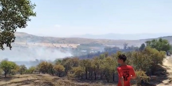 Elazığ’da çıkan yangın söndürüldü