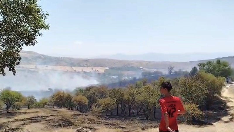 Elazığ’da çıkan yangın söndürüldü