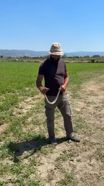 Bursa’da çiftçinin cesareti herkesi korkuttu