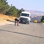 Bir yandan koştu, bir yandan diğer sürücüleri uyardı: Kaplumbağayı ezilmekten kurtardı