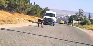 Bir yandan koştu, bir yandan diğer sürücüleri uyardı: Kaplumbağayı ezilmekten kurtardı