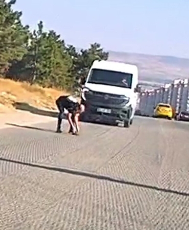 Bir yandan koştu, bir yandan diğer sürücüleri uyardı: Kaplumbağayı ezilmekten kurtardı