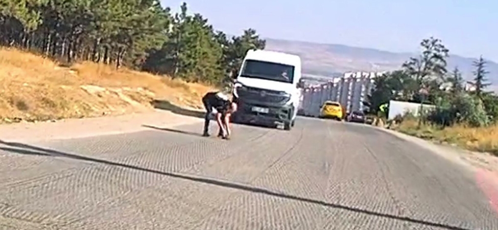 Bir yandan koştu, bir yandan diğer sürücüleri uyardı: Kaplumbağayı ezilmekten kurtardı
