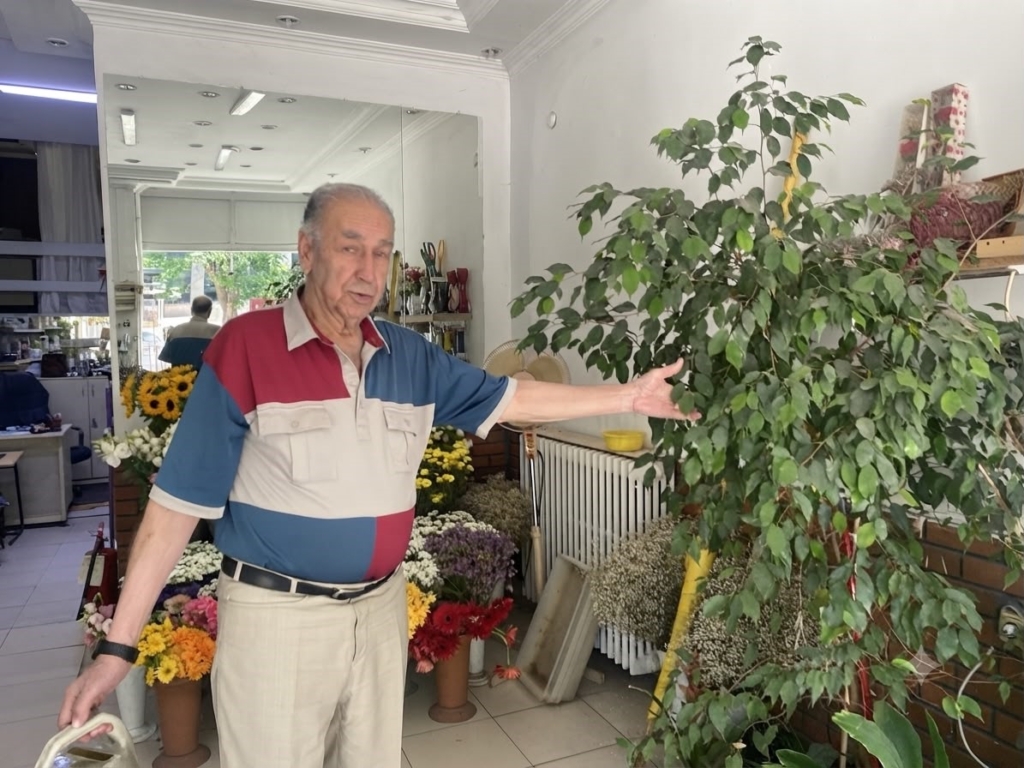 Direkt güneş ışığı çiçekler için zararlı