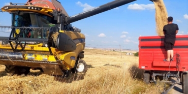 Kütahya’da yerli ve milli arpa çeşitlerinde verimli hasat