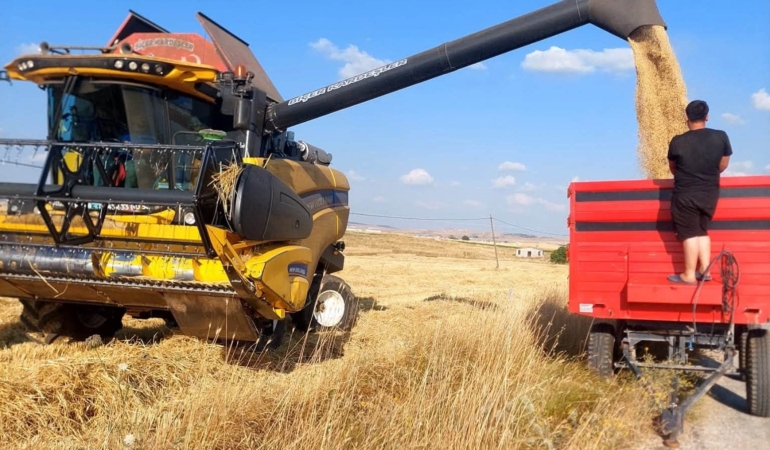 Kütahya’da yerli ve milli arpa çeşitlerinde verimli hasat