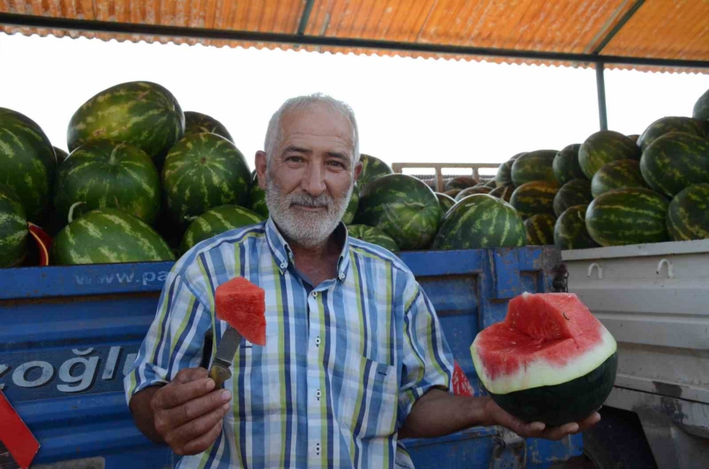 Mevsimlik işçilerin karpuz mesaisi