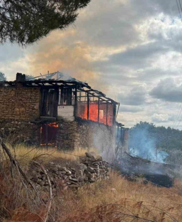 Ahırda çıkan yangın ormana sıçradı, büyümeden söndürüldü