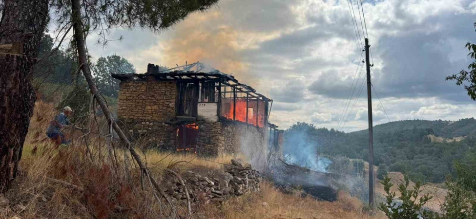 Ahırda çıkan yangın ormana sıçradı, büyümeden söndürüldü