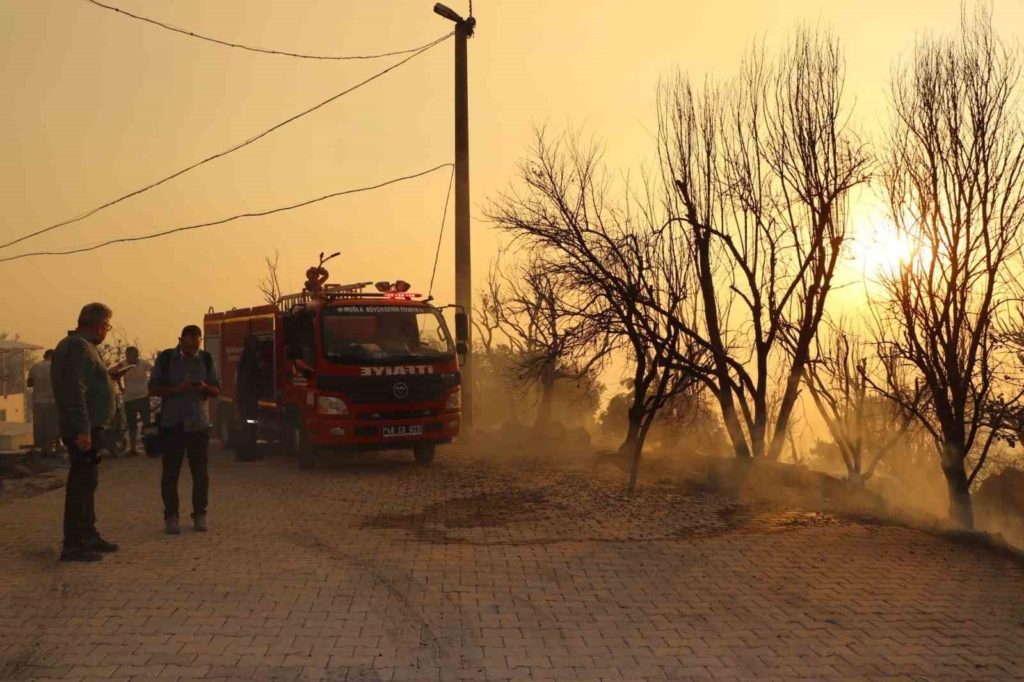 Yangın yerleşim yerine dayandı, vatandaşlar hayvanlarını alevlerin arasından kurtardı