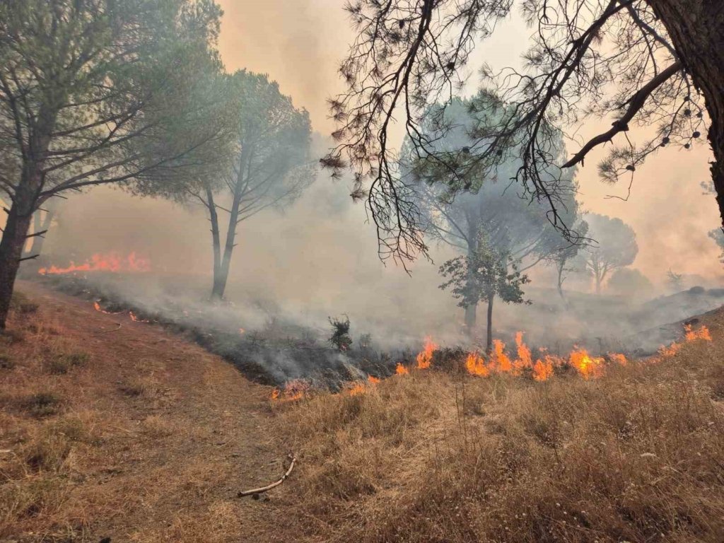 Balıkesir’deki yangın sebebiyle Ayvalık Bergama yolu trafiğe kapatıldı