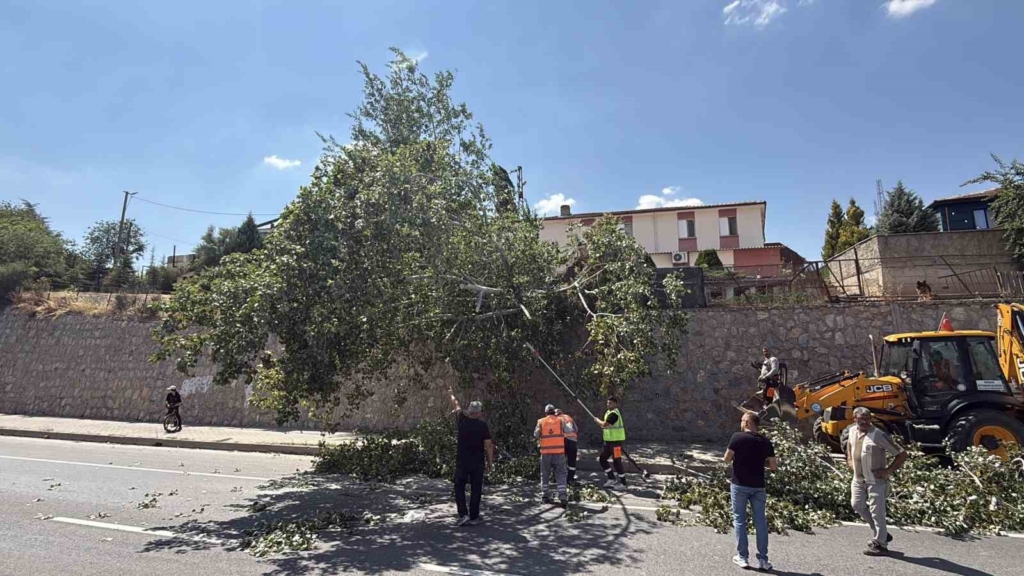 Eskişehir’de devrilen ağaç kara yolunu kısmen trafiğe kapattı
