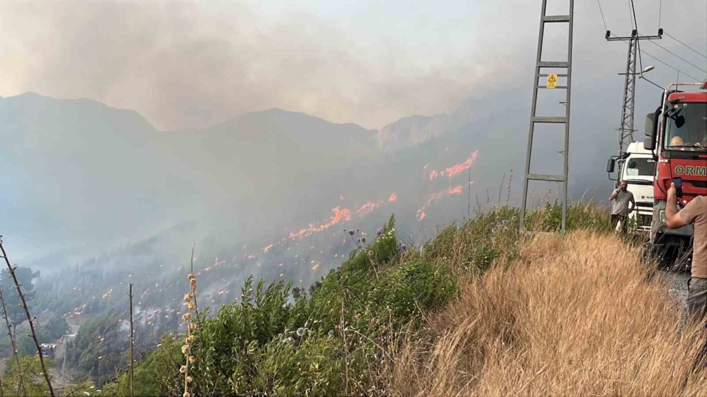 Alanya Sapadere Kanyonu’nda ormanlık alanda yangın