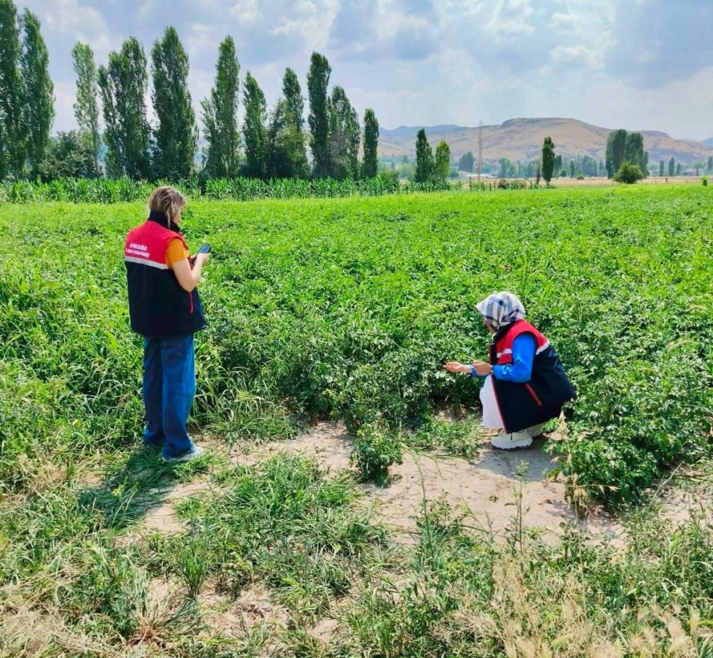 Tarım arazilerinin korunması çalışmaları sürüyor