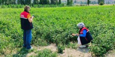 Tarım arazilerinin korunması çalışmaları sürüyor