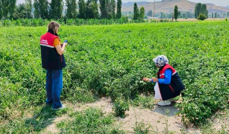 Tarım arazilerinin korunması çalışmaları sürüyor
