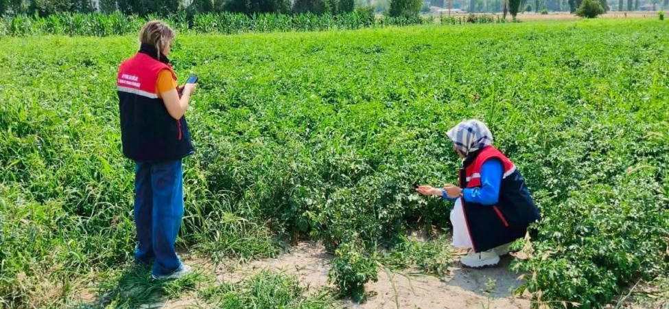 Tarım arazilerinin korunması çalışmaları sürüyor