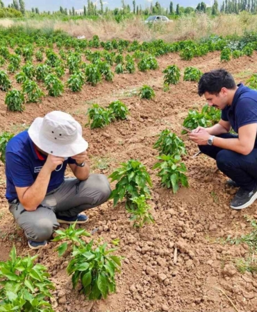 Başmakçı’da sebze ekili alanlar kontrol edidldi