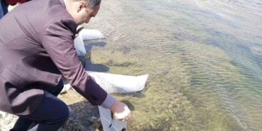Aslanapa Kureyşler Göleti’ne 140 bin sazan yavrusu bırakıldı